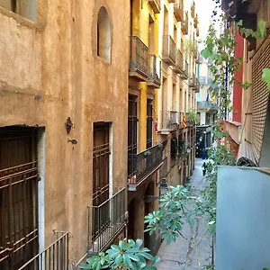 La Calma , Barcellona Spagna
